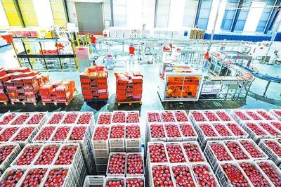 2021菇博会 | 品源现代 “菇的辣克”香飘五大洲 引领菌菇饮食新风尚